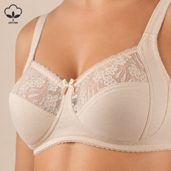 177 BRA EGY FRANCE